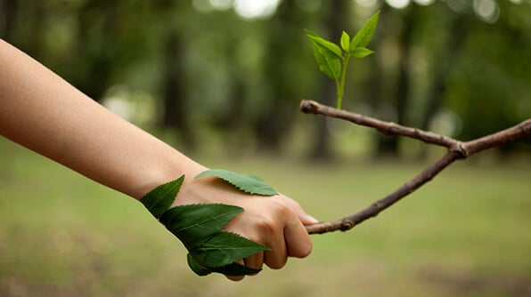 Les entreprises et la Responsabilité Civile des Atteintes à l’Environnement (RCAE)