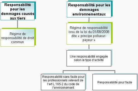 Schéma responsabilité atteinte à l'environnement